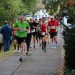 12_Altstadtlauf2023_2 (207).JPG