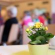 2026_Erzähl-Café_Fotograf_Krippner_Karl DSC_5957_Pixelgröße reduziert.jpg
